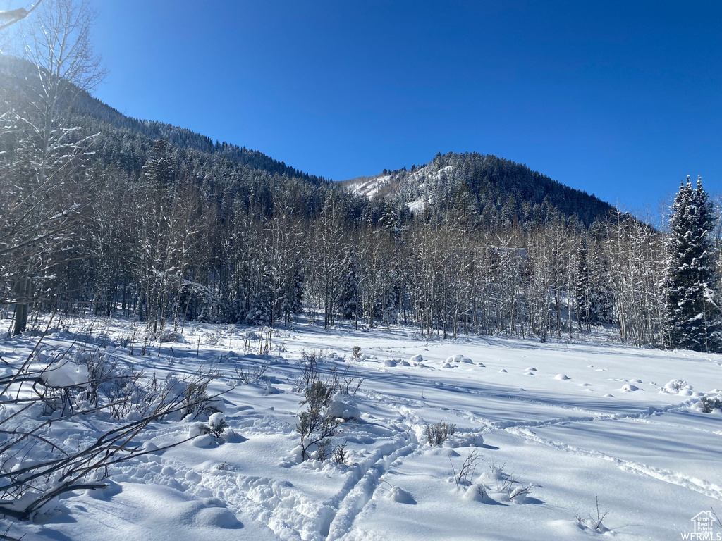 View of mountain background featuring a heavily wooded area