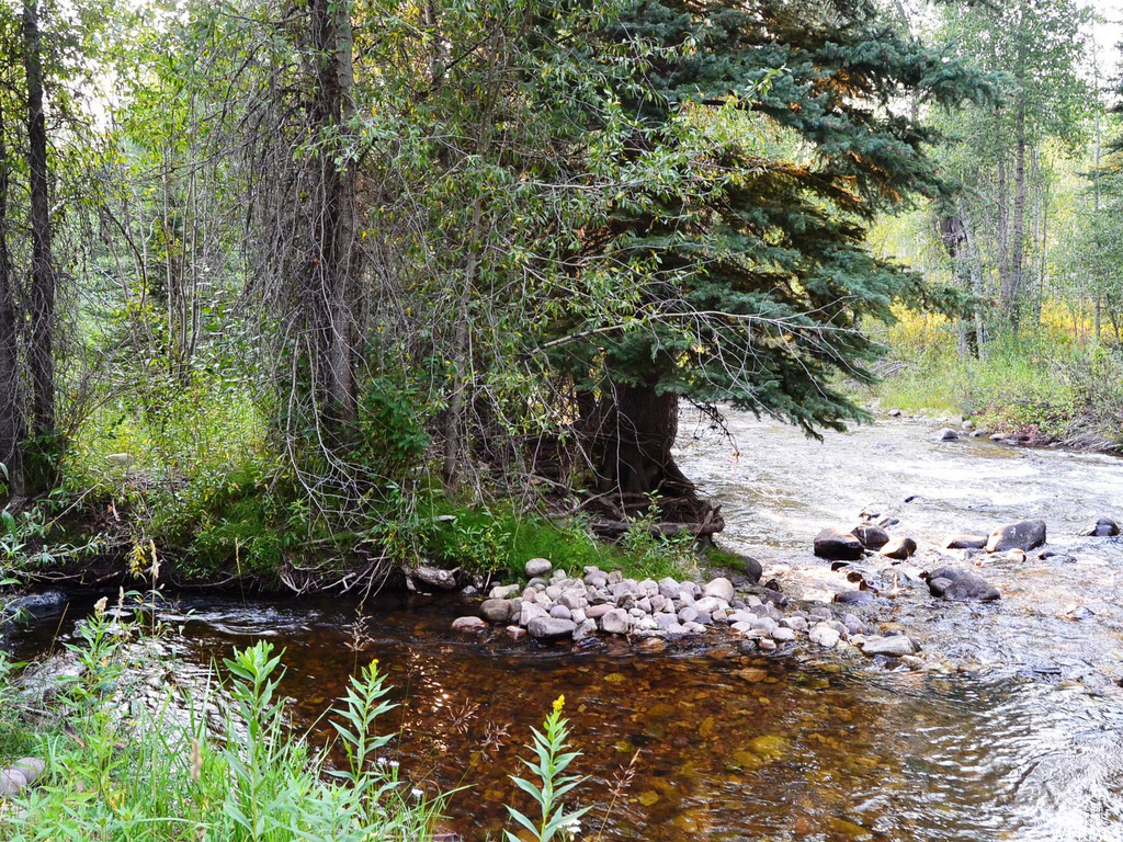 View of wooded area