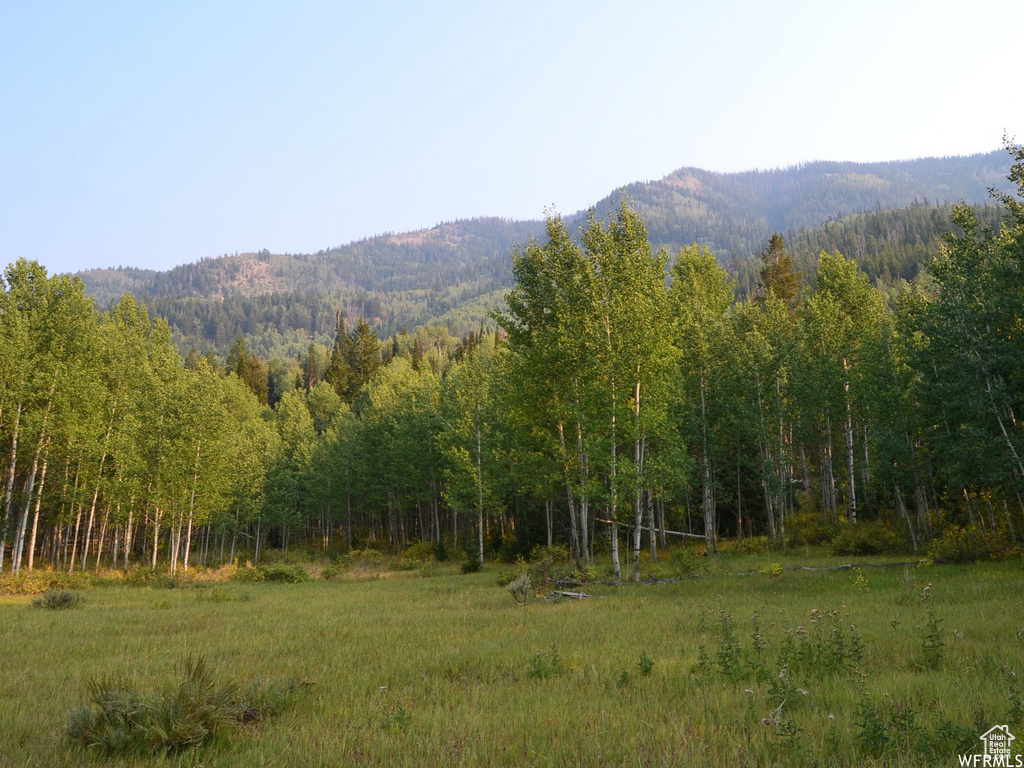 Mountain view with a heavily wooded area