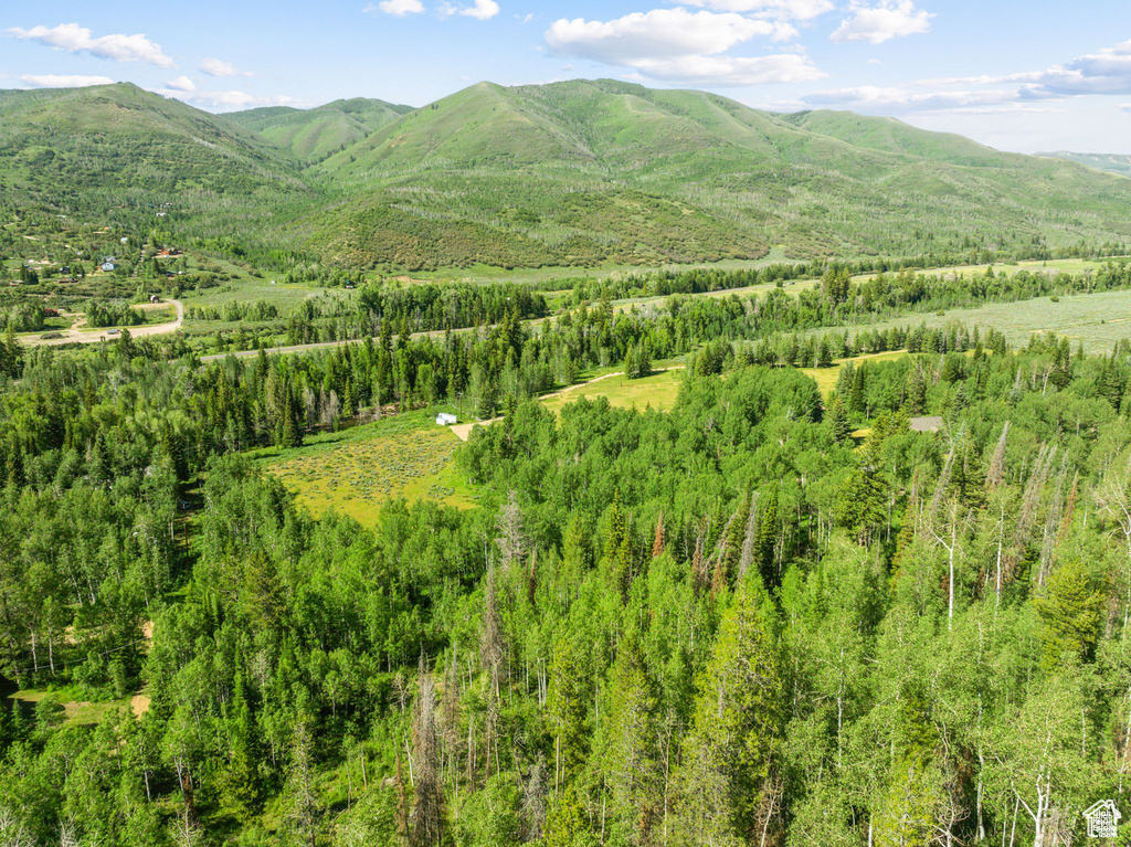 View of mountain background