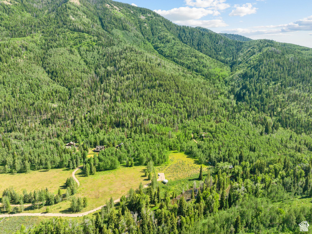 Bird's eye view of a heavily wooded area and a mountain backdrop