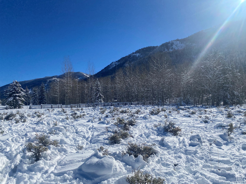 Mountain view with a heavily wooded area