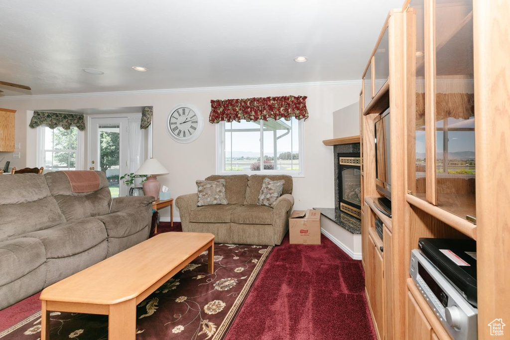 Living area featuring ornamental molding, carpet floors, and a glass covered fireplace