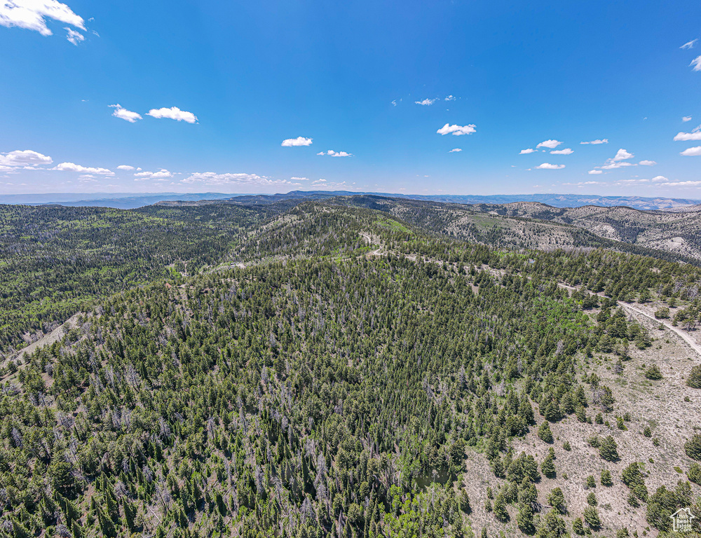 Bird's eye view of a heavily wooded area and a mountainous background