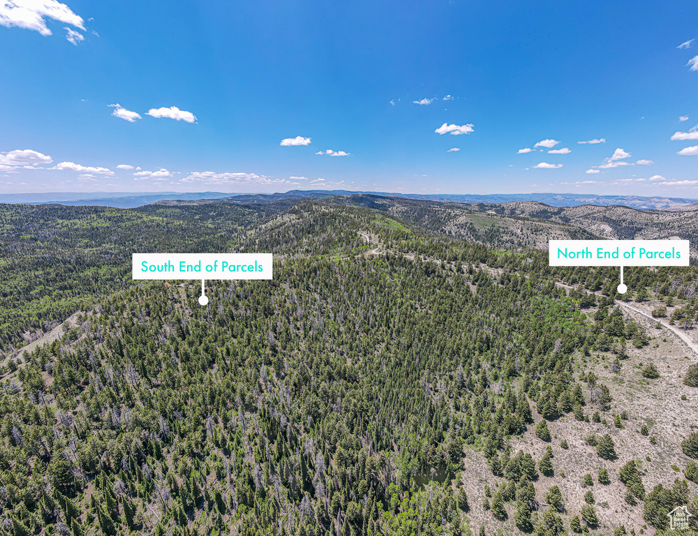 Aerial view of a forest and mountains