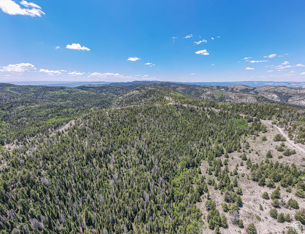 Bird's eye view of mountains and a forest