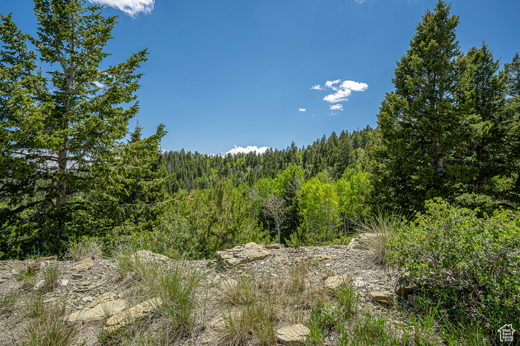 View of wooded area