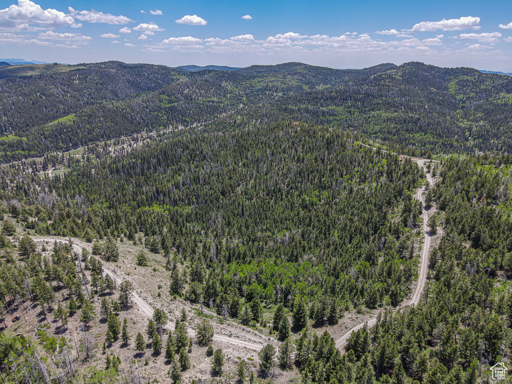 Drone / aerial view of a heavily wooded area and a mountainous background