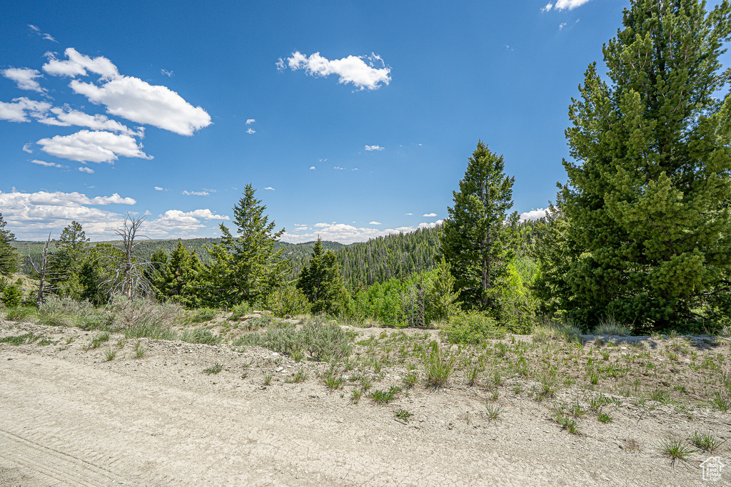 View of mountain background featuring a heavily wooded area