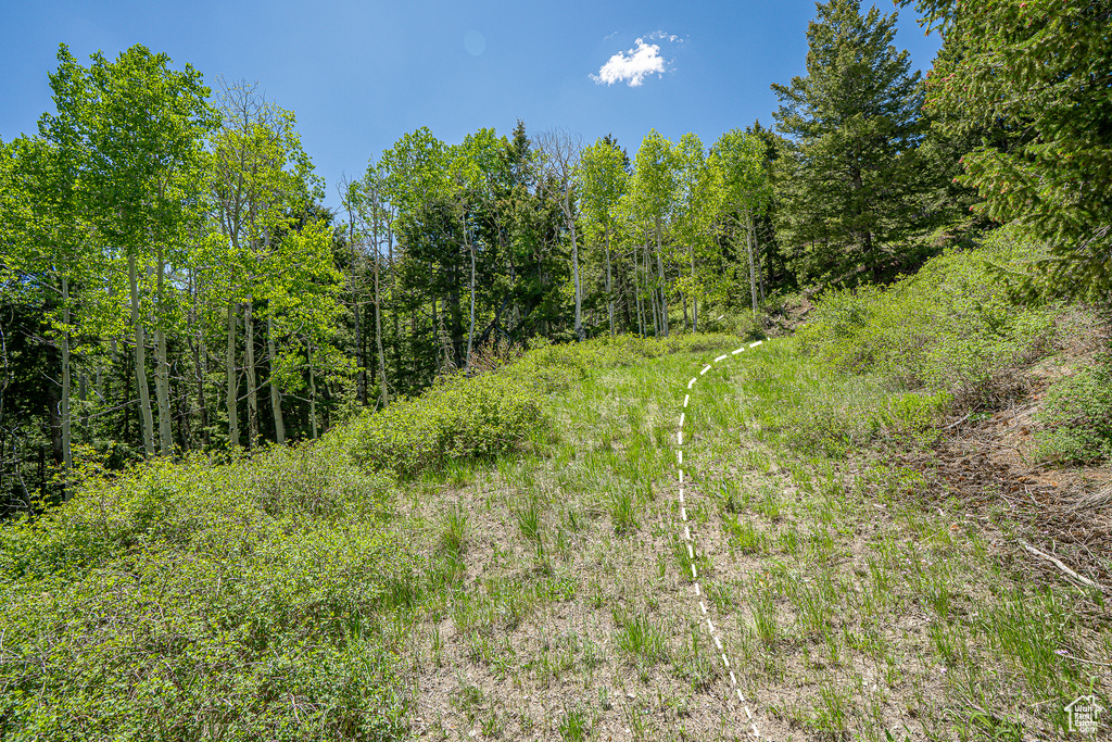 View of woods