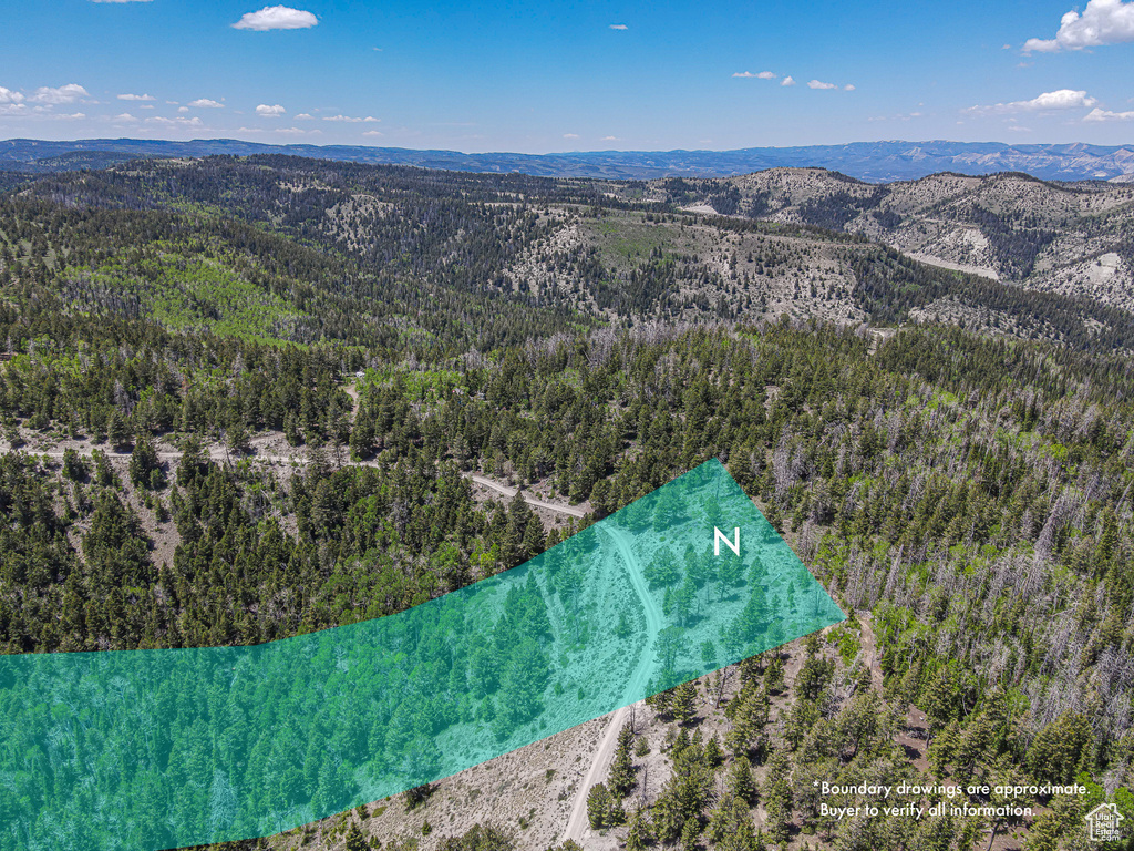 Bird's eye view of a forest and a mountainous background