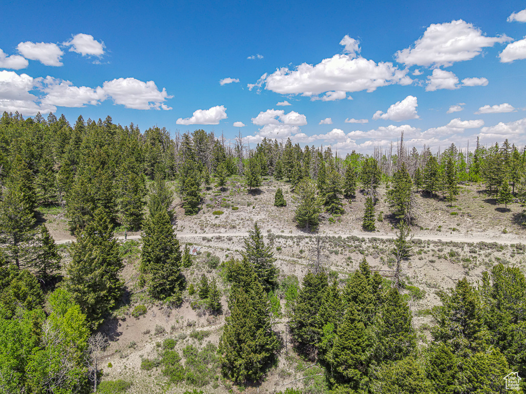 View of nature