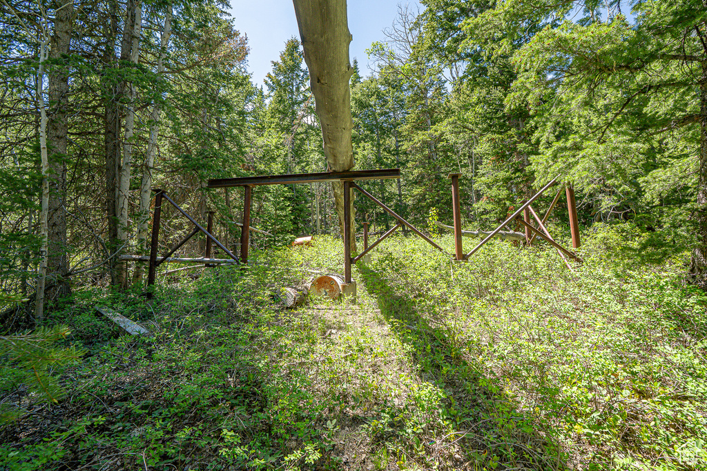 View of yard featuring a wooded view