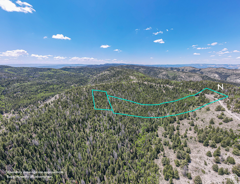 Aerial view of property and surrounding area featuring property boundaries highlighted, a mountain backdrop, and a heavily wooded area