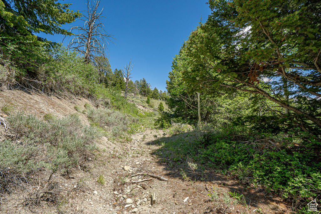 View of undeveloped land