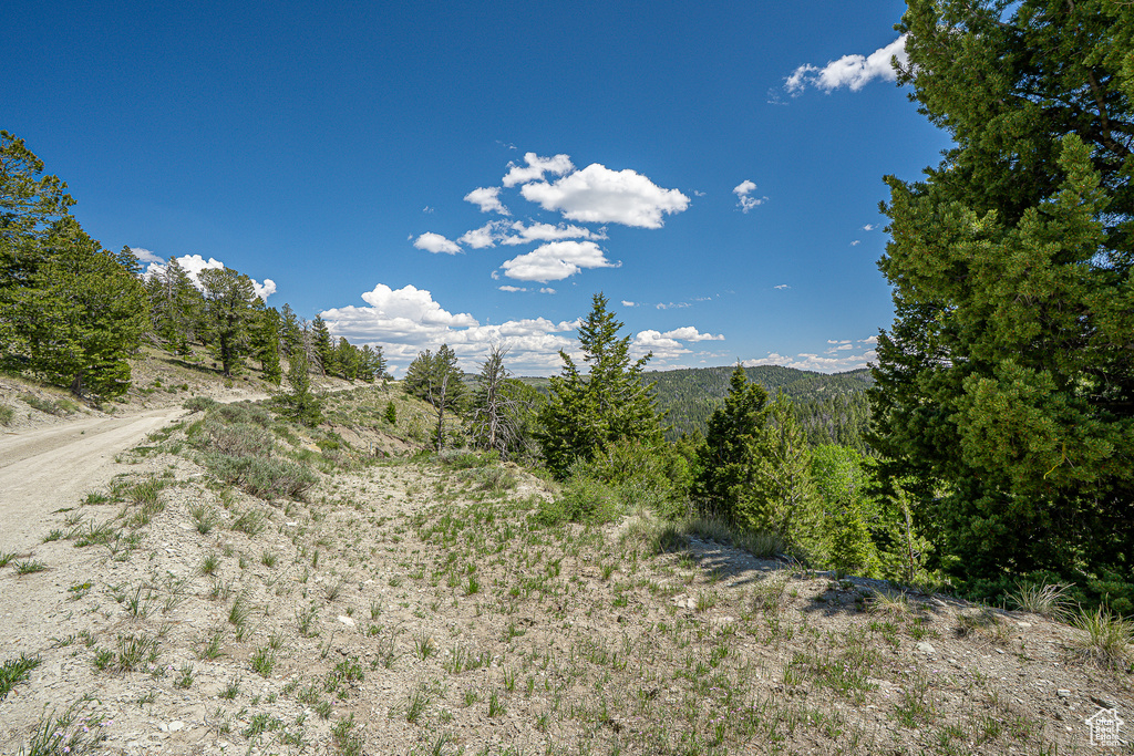 View of mountain backdrop with a forest