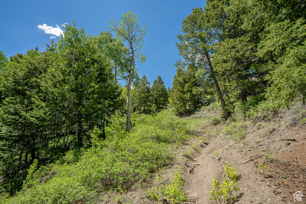 View of undeveloped land