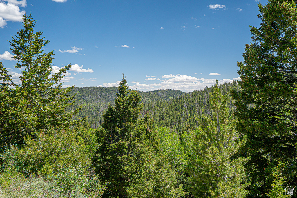View of mountain background with a heavily wooded area