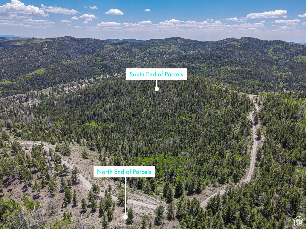 Aerial overview of property's location with a forest and mountains