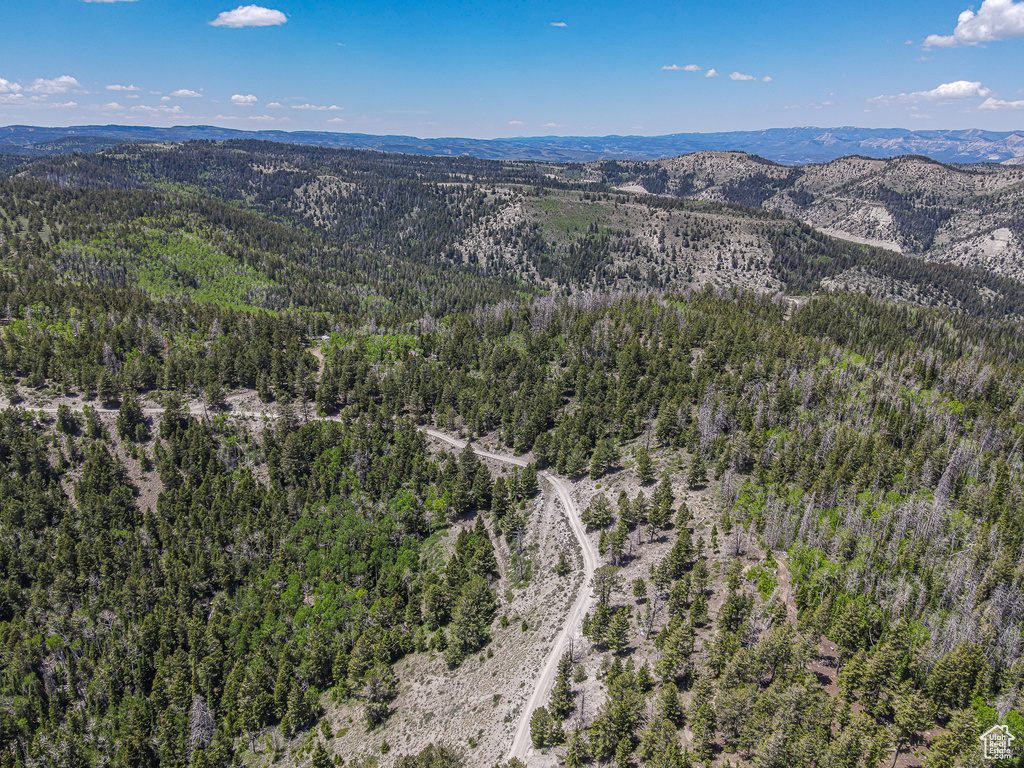 Bird's eye view of a forest and mountains