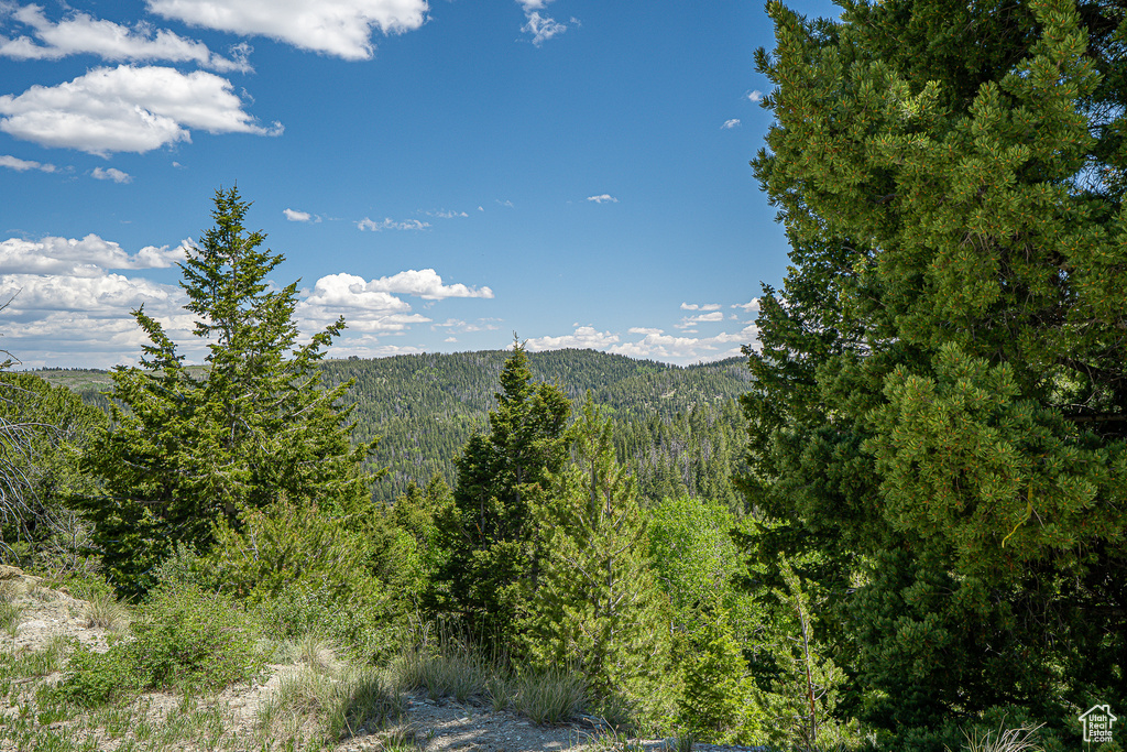 View of mountain backdrop with a heavily wooded area