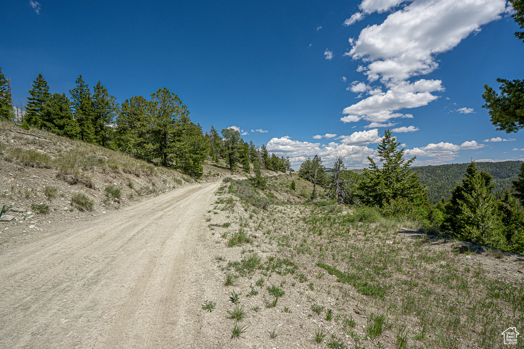 View of dirt / gravel road