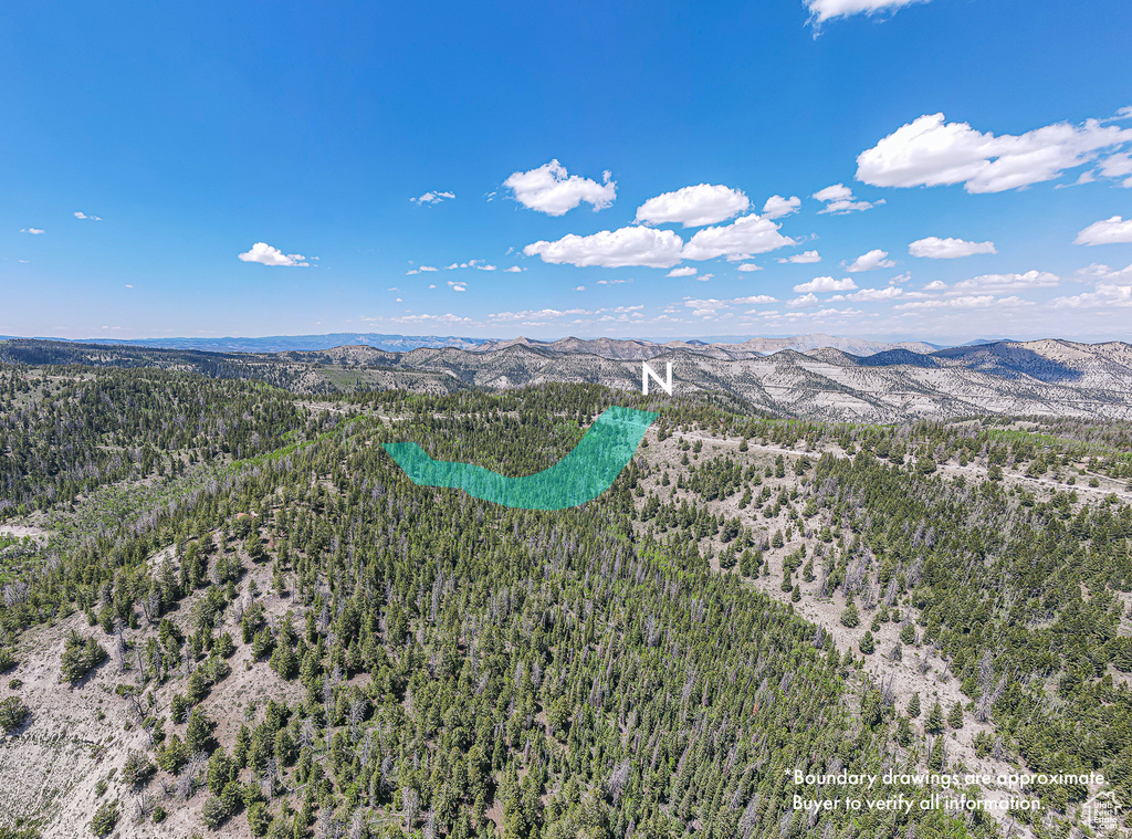 Aerial view of a heavily wooded area and a mountainous background