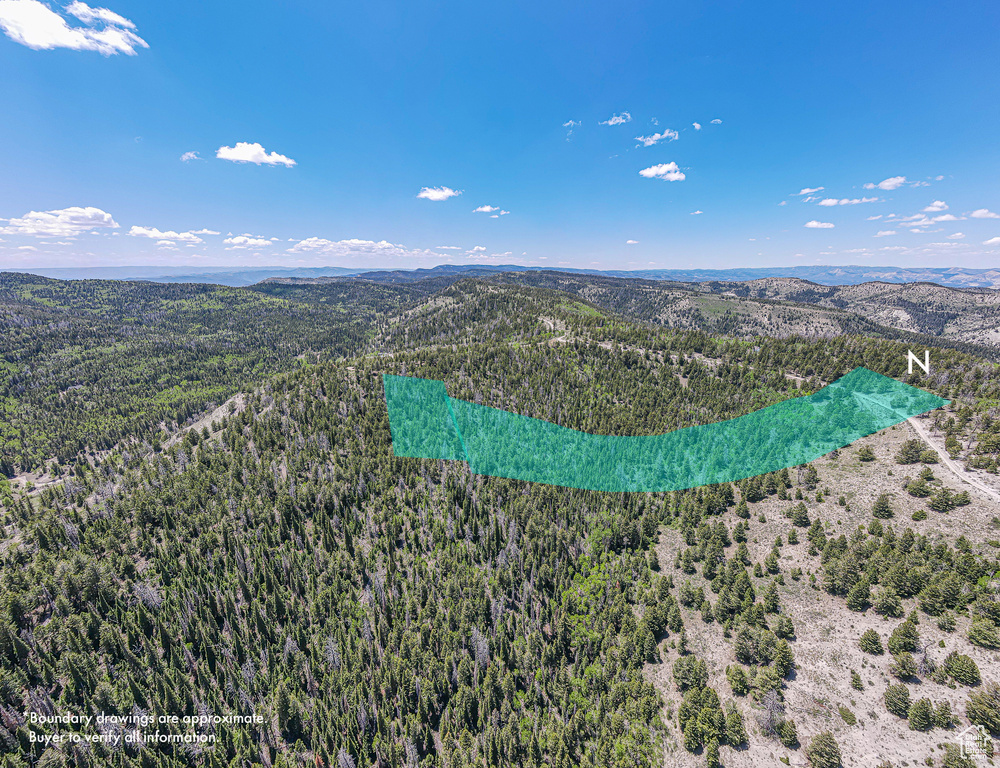 Drone / aerial view of a forest and mountains