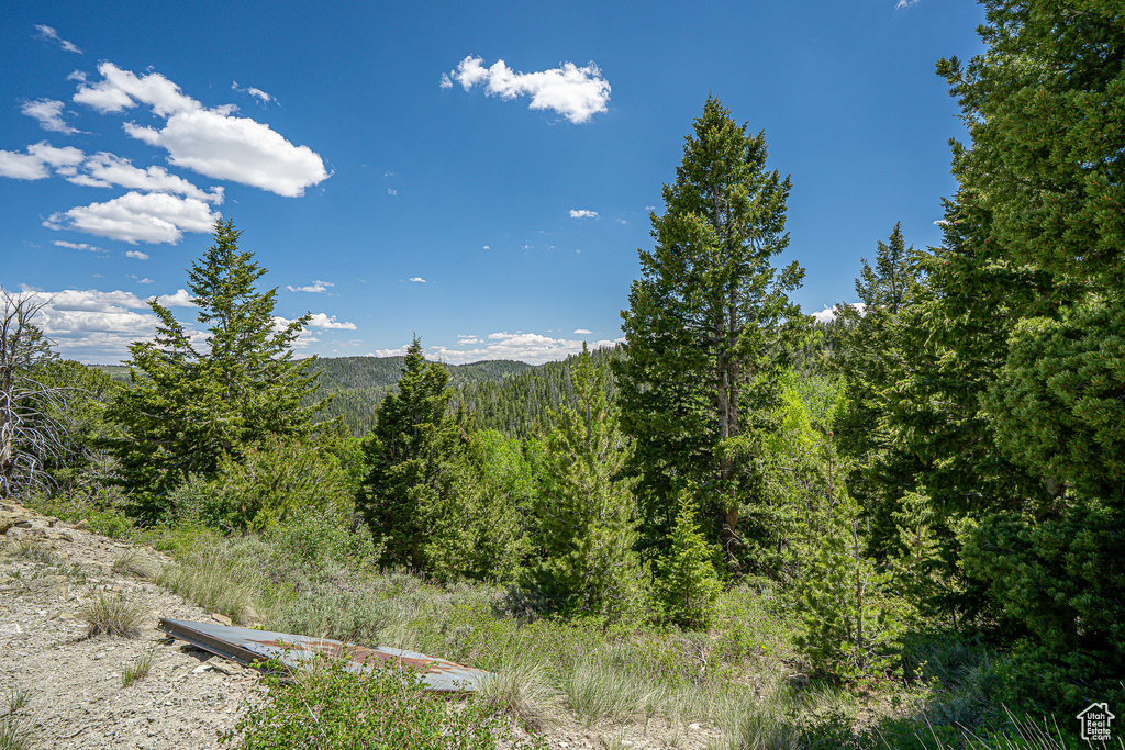 View of mountain backdrop with a forest
