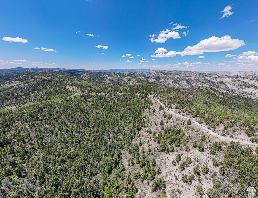 Aerial view of a forest and mountains