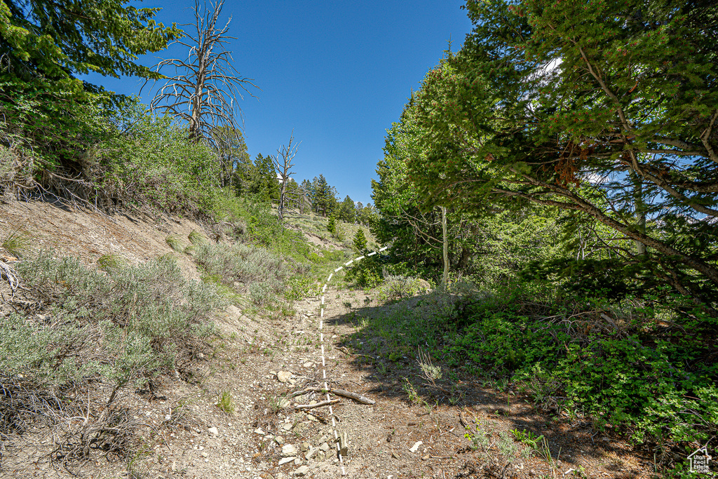 View of undeveloped land