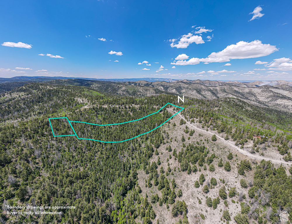 Aerial overview of property's location with property boundaries highlighted, a forest, and a mountainous background