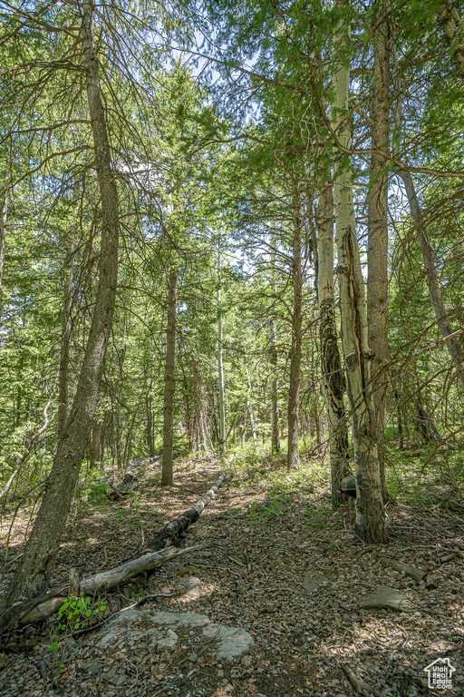 View of undeveloped land