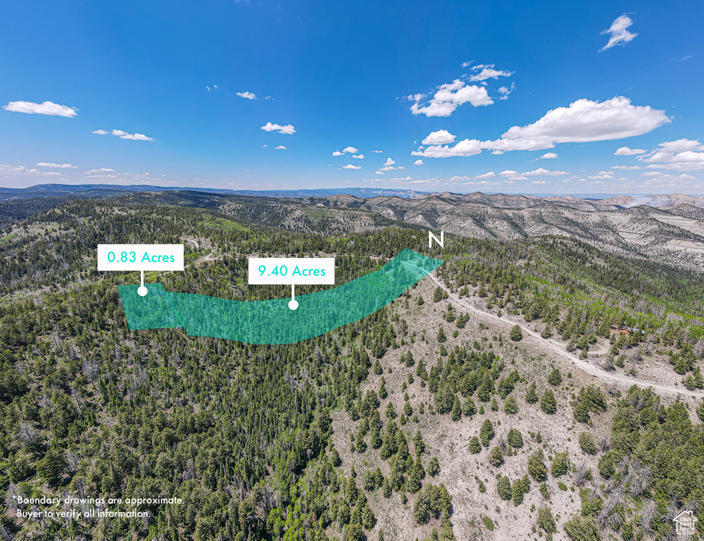 Aerial view of a mountainous background and a forest