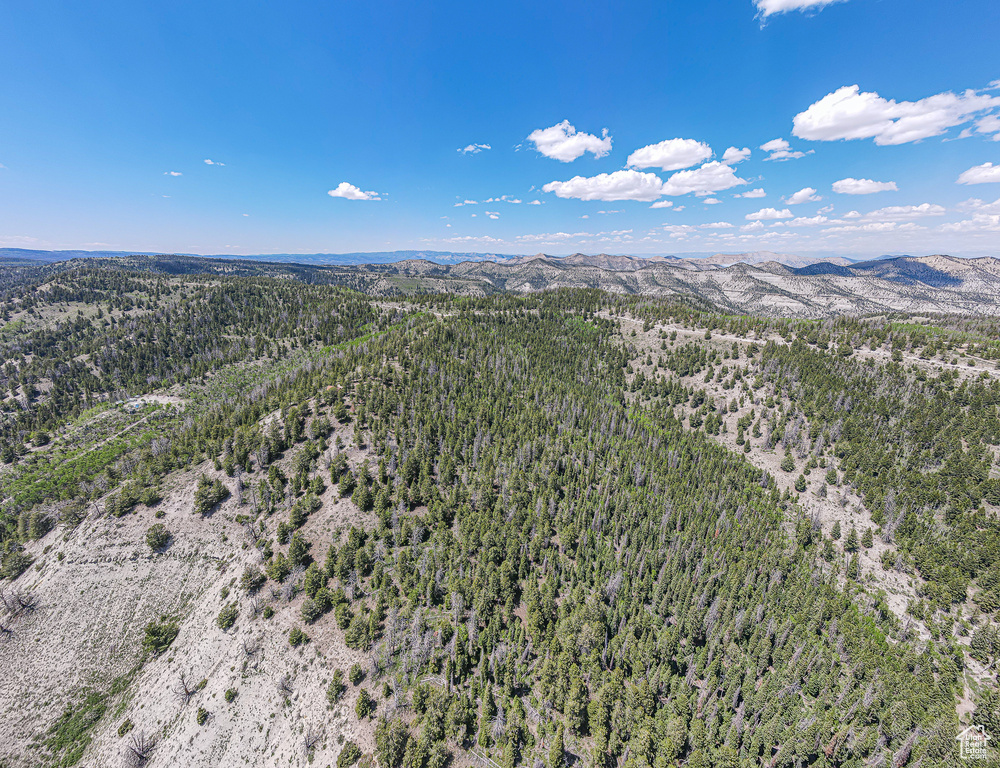 Aerial view of a heavily wooded area and mountains