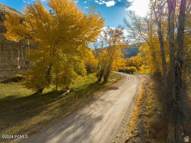 View of dirt / gravel road