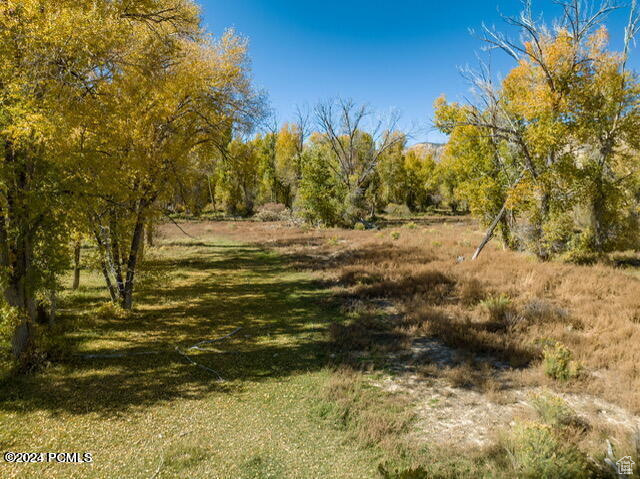 View of nature