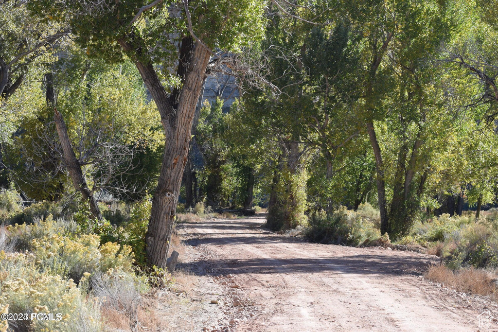 View of dirt / gravel road with a wooded view