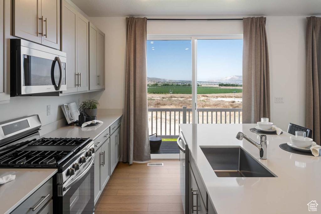 Kitchen with appliances with stainless steel finishes, a sink, gray cabinets, light countertops, and light wood-style floors