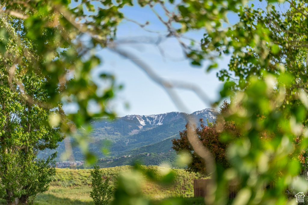 Mountain view