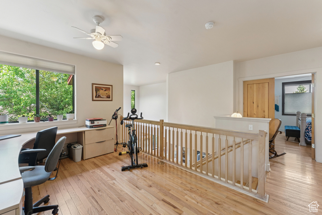 Office space featuring light wood-style floors and ceiling fan
