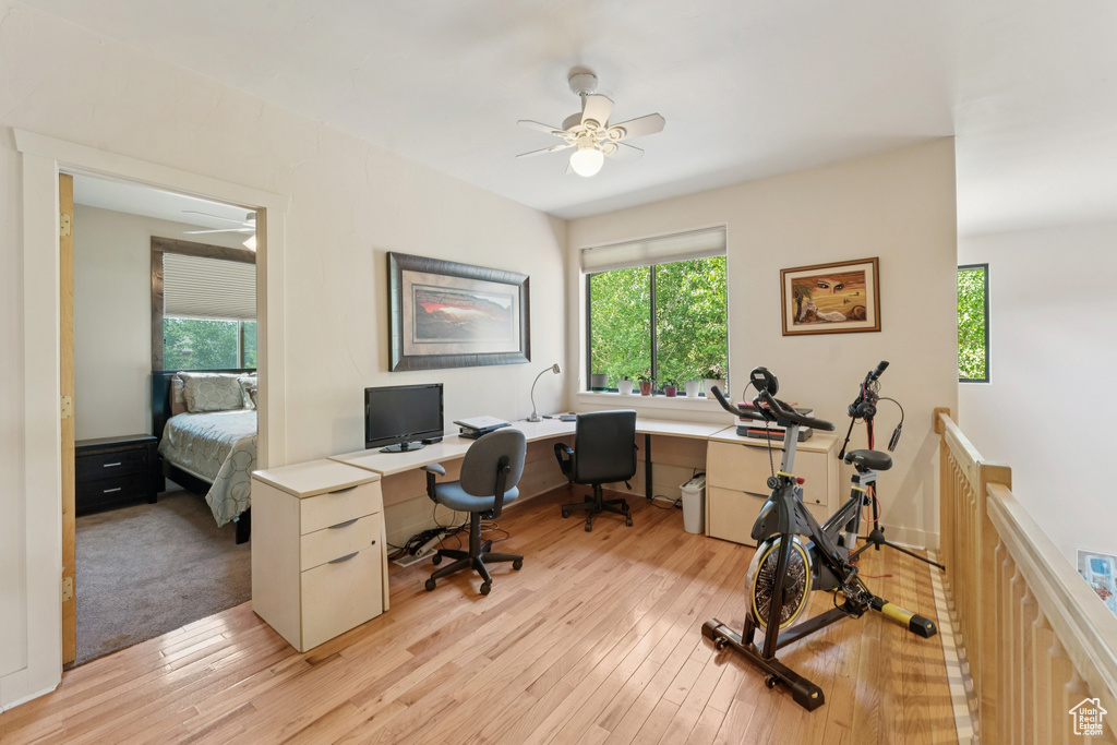 Office space featuring a ceiling fan, plenty of natural light, and light wood-style flooring