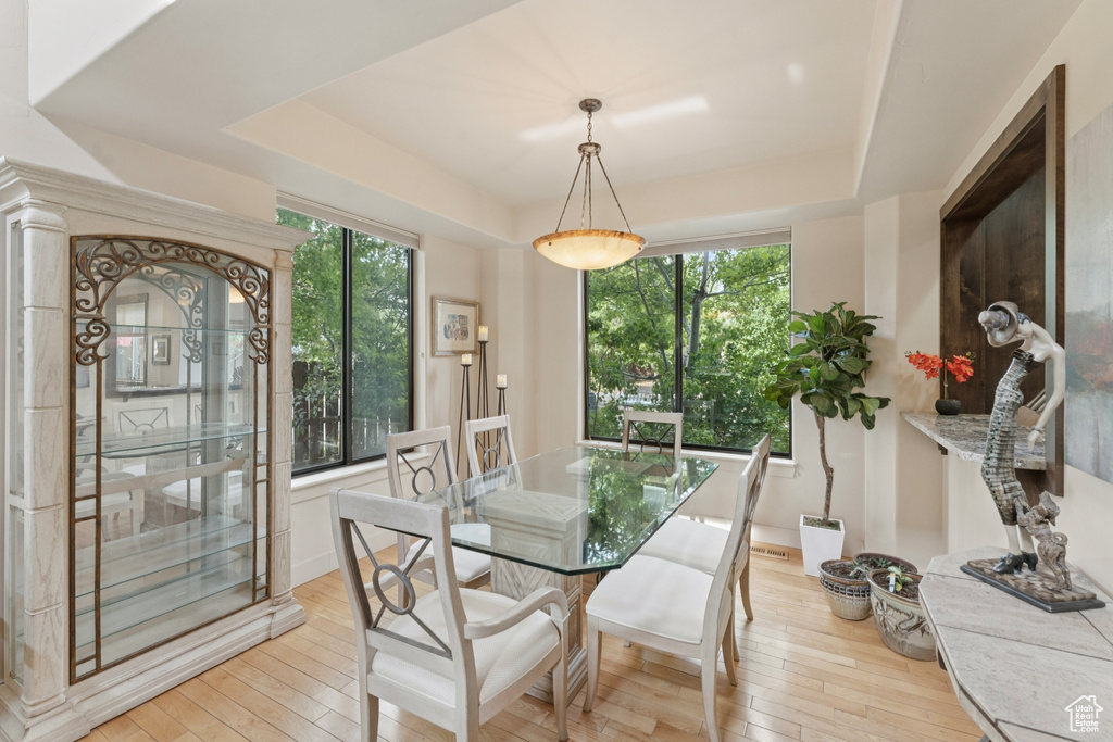 Dining area with a tray ceiling and light wood-type flooring