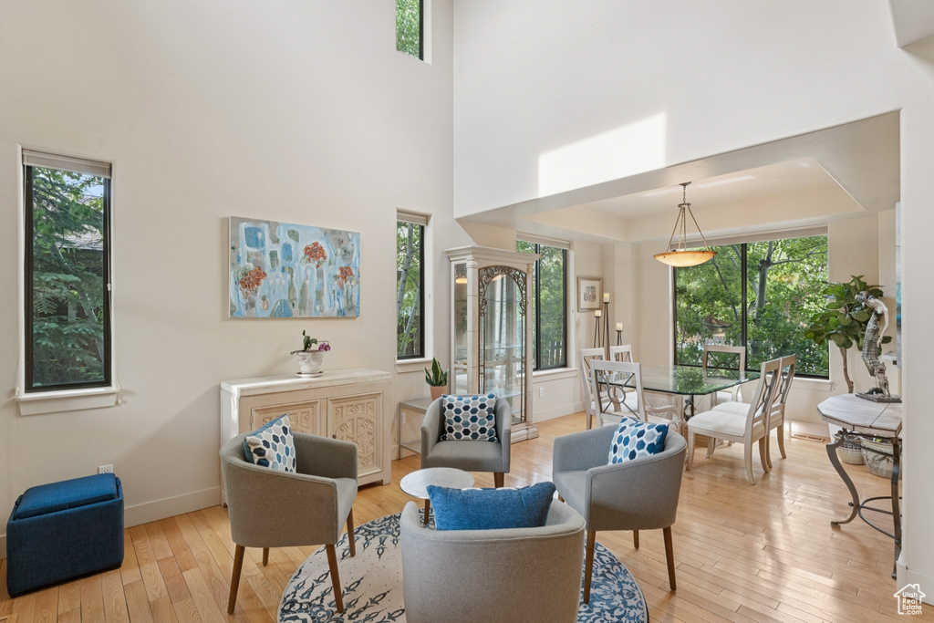 Living area featuring hardwood / wood-style floors, baseboards, a towering ceiling, and a raised ceiling