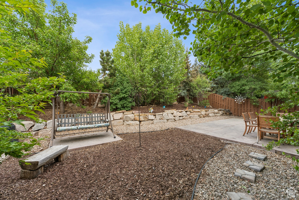 View of yard with a patio area