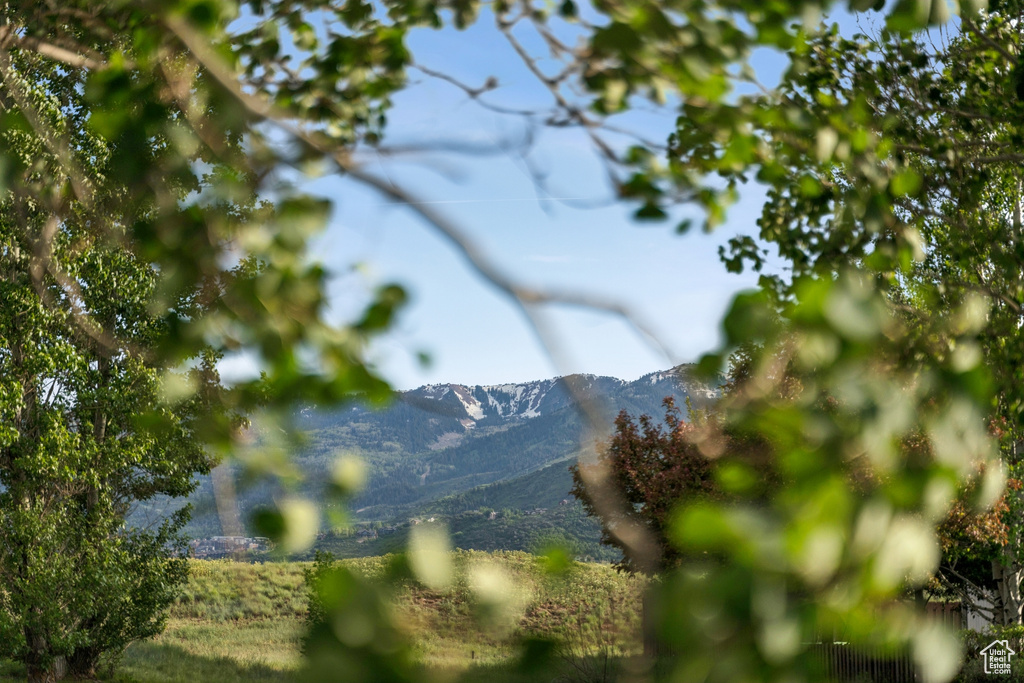 Exterior view of a mountainous background