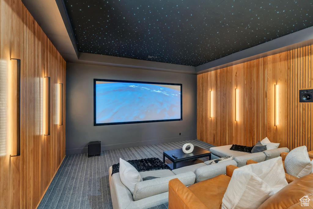 Cinema with carpet flooring and baseboards