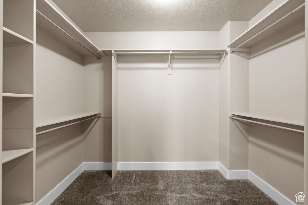 Walk in closet with carpet flooring