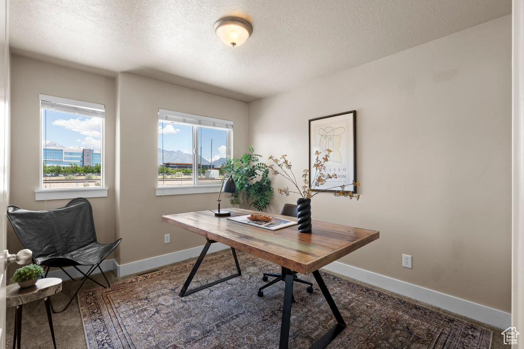 Office area with a textured ceiling and baseboards