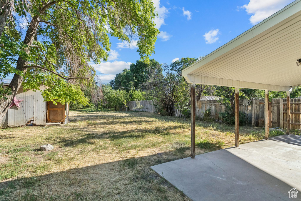 View of yard with a patio area